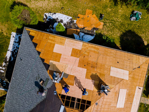 Best Storm Damage Roof Repair  in Shelbyville, IN